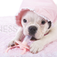 Image for article titled This Week In The Business: That's One Ugly Baby